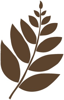 ReWear Logo